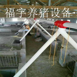 福宇畜牧 自動(dòng)化料線賦能牧場(chǎng)，一次投資開(kāi)啟終身效益新篇章